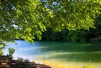 green lake surrounded by vegetation