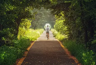 person riding bicycle in the forest