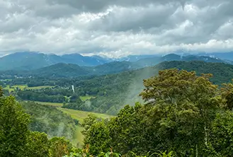 place full of greenery