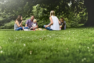 people having a picnic