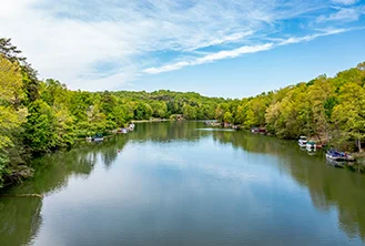 panoramic of a river surrounded by bushes