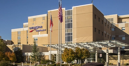 Modern hospital exterior with beige façade, glass entrance, and flags on poles in front. Trees and manicured landscape convey an inviting atmosphere.