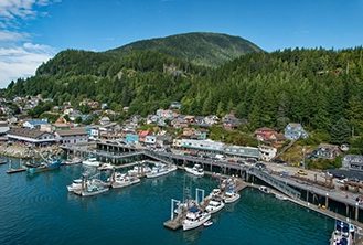 Aerial view of a coastal town with a marina filled with boats. Houses dot the hillside, surrounded by lush green forests under a clear blue sky.