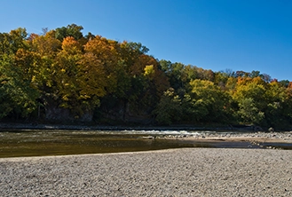 blue skies with greenery by a rocky river