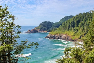 Scenic coastal view of a rugged cliffside lined with lush evergreen trees, overlooking a bright blue ocean with gentle waves, under a clear sky.
